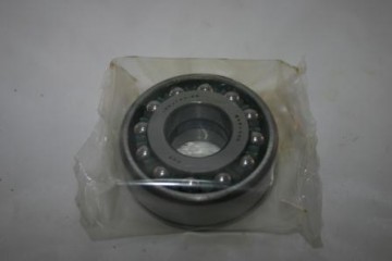 hoofdlager dubbel rijig